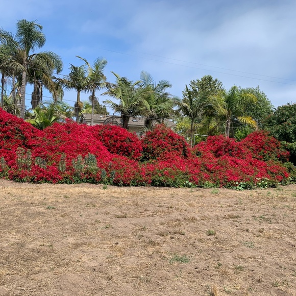 Meet your Posher, Elim - Picture 8 of 13